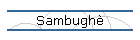Sambugh