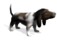 basset_excited_md_wht.gif (7117 byte)