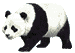 Il panda