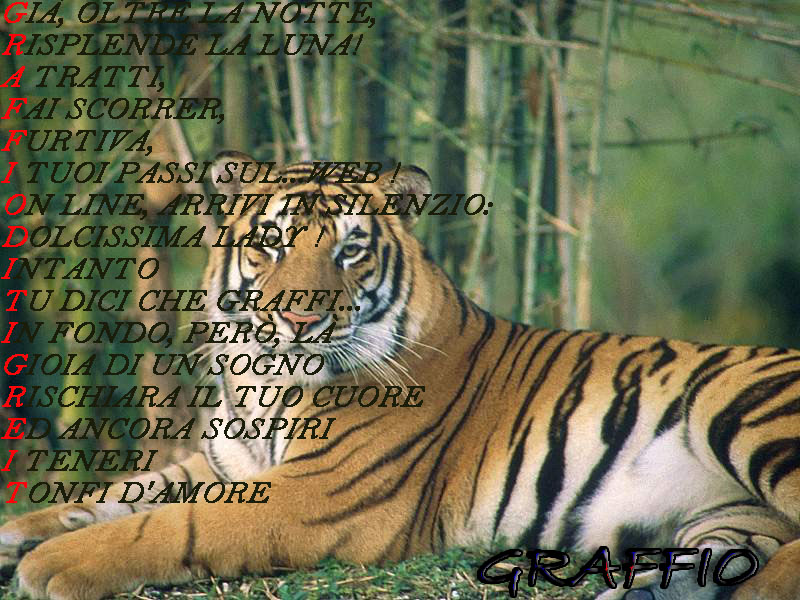 graffio di tigre
