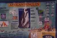 africa 110 small.jpg (8897 byte)