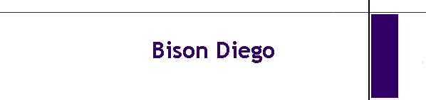 Bison Diego