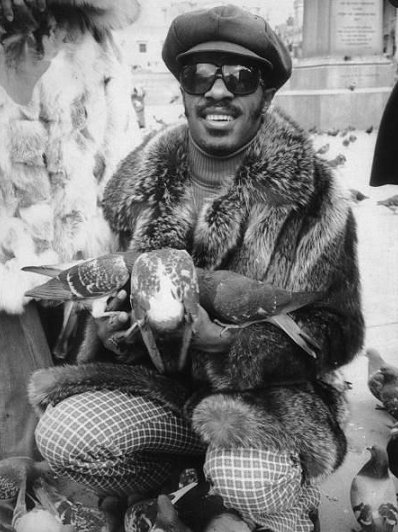 singer stevie wonder 1974