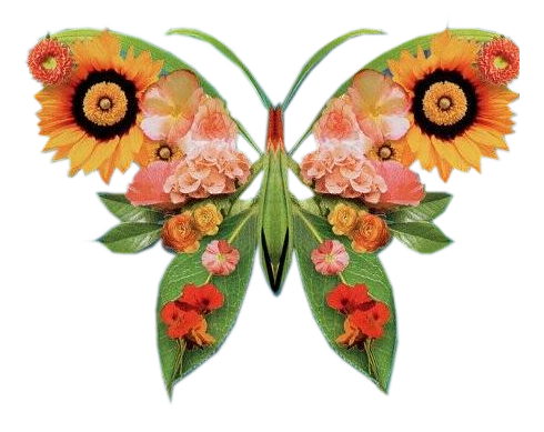 http://digilander.libero.it/heart.butterfly/5.png