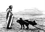 Lakota-Woman-And-Dog-Travois-Rosebud-Reservation.jpg
