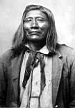 Shoshone-Chief-1884.jpg