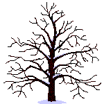 albero.gif (27146 byte)