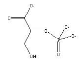 2-Phosphoglycerate