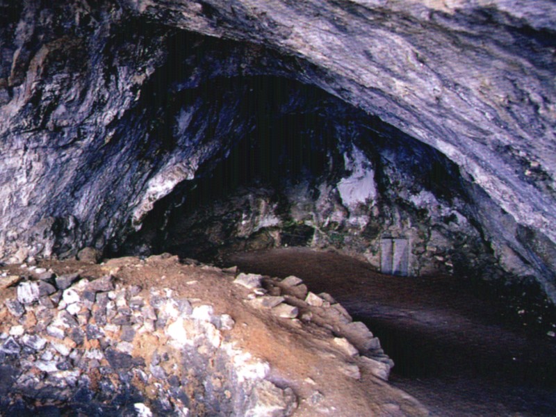 Pitture Murali Caverne Preistoriche
 semarang 2021