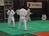 Ju Jitsu Dojo - Arcella 2008