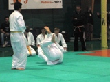 Ju Jitsu Dojo - Arcella 2008