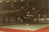 Ju jitsu - F. Coppo e B. Grillo a Rho (MI)