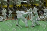 Il Ju Jitsu Day