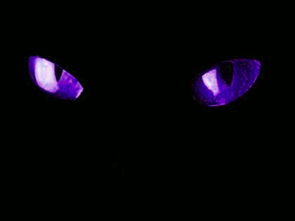 eyes purple warrior cats wolf dark cat hisoka her clown fanfic role play optimus nightmare tfp surprise deviantart wattpad