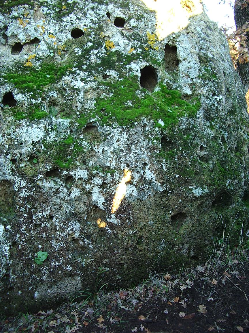 Poggio Rota  Raggio di Luce