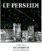 Logo Perseidi