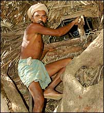 vita sugli alberi, Kapila Pradhan