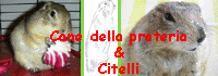 Canedellaprateria&Citelli