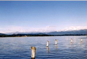 Lago di Varese - Schiranna