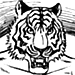 Tigre seconda versione (manga)