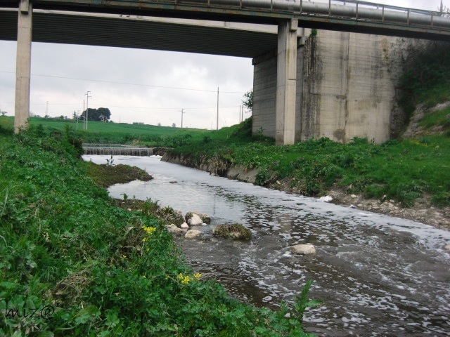 Torrente Iesce