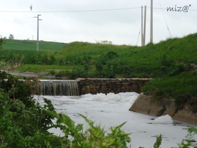 Schiuma nel torrente Iesce