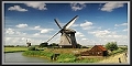 Galleria Foto Olanda - Magici paesaggi con Mulini a vento e Tulipani - Layout Ajax creato by RD-Soft(c)