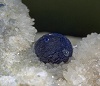 Azzurrite, globulo di 10 mm su quarzo. Cibona (Tolfa)