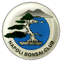 NAPOLI BONSAI CLUB webmaster Antonio Acampora