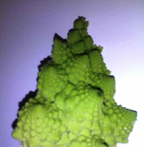 broccolo1