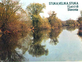 Veduta del fiume Strug nelle vicinanze di Novska,  acque popolate di Stuke di grandi dimensioni