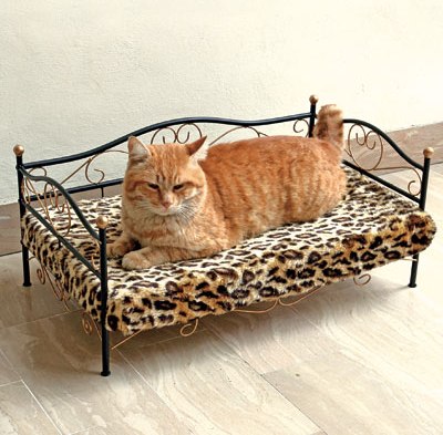 letto imperiale gatto