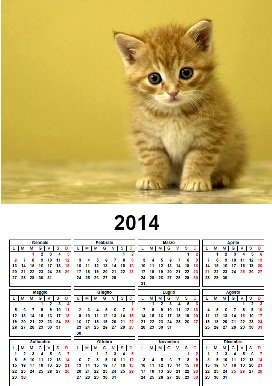 Calendario 2014 gatto