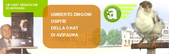 chat incontro gratuito orange