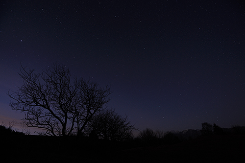 un cielo di stelle...