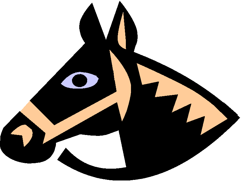 cavallo
