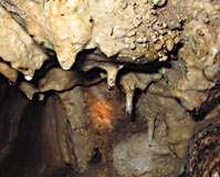 Piccole stalattiti in fondo ad una delle grotte