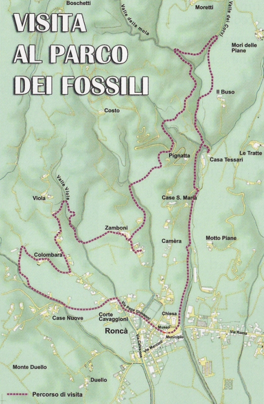 Sentiero dove sono situati i giacimenti fossiliferi