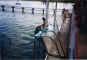 La fin troppo seria addestratrice di delfini dell'Acquario di Bahia de Naranjo