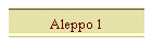 Aleppo 1