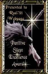 Positive Steps Excellence Award 