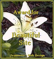 Jeannette Web Design Beautiful Site Award