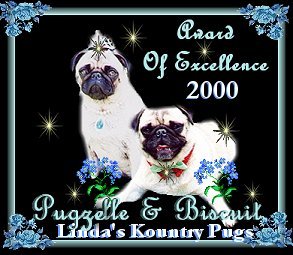 Pugzelle & Biscuit "Award Of Excellence"