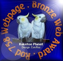 Kaketoe Planet "Bronze Web Award"