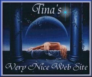 Tina's Very Nice Web Site Award