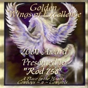 Cowboys - n - Cowgirls "Golden Wings" Award!