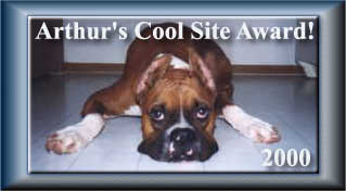Arthur's Cool Site Award 2000