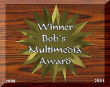 Bob's Multimedia Award