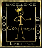 CoxImages Bravo! Excellence Homepage 