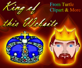 Turtle "King of this Website Award" 